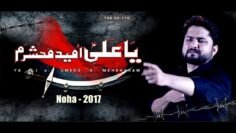 Nohay 2017 – YA ALI ع UMEED-E-MEHSHARAM | SYED RAZA ABBAS ZAIDI | Nohay 2017-18