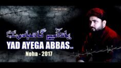 Nohay 2017 – YAD AYEGA ABBAS ع | SYED RAZA ABBAS ZAIDI | Nohay 2017-18