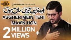 Nohay 2018 | Asghar ع Main Teri Maa Hun | Mir Hasan Mir Noha 2018 | Babul Hawaij | Nohay 2019