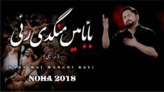 Nohay 2018 – BABA ع MAIN MANGDI RAHI | Syed Raza Abbas Zaidi | Noha 2018 | Muharram 1440H 2019 Nohay