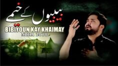 Nohay 2018 – BIBIYOUN ع KAY KHAIMAY | Syed Raza Abbas Zaidi | Noha 2018 | Nohay 2019