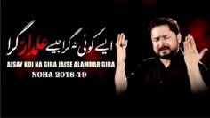 Nohay 2018 | JAISE ALAMDAR ع  GIRA | Syed Raza Abbas Zaidi  | New Noha 2018 -19 | Muharram 1440H |