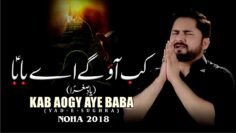 Nohay 2018 – KAB AAOGE AYE BABA ع | Syed Raza Abbas Zaidi | Noha 2018 | Muharram 1440H Nohay 2019 |