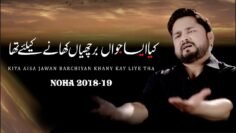 Nohay 2018 – KYA AISA JAWAN | Syed Raza Abbas Zaidi Noha 2018 | Muharram 1440H Nohay 2019 |