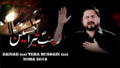 Nohay 2018 | ZAINAB ع TERA HUSSAIN ع | Syed Raza Abbas Zaidi New Noha 2018-19/1440 H | Nohay 2019