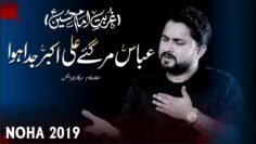 Nohay 2019 – Abbas Mar Gaye Ali Akbar Juda Howa | Syed Raza Abbas Zaidi | Mola Hussain Noha 2019