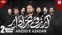 Nohay 2019 | Arzoo e Azadar | Syed Raza Abbas Zaidi | New Noha 2019 | Karbala