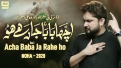 Nohay 2020 | Acha Baba Ja Rahe Ho | Syed Raza Abbas Zaidi Nohay 2020 | Shahzad  Ali Asghar Noha 2020