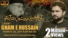 Nohay 2020 – Gham e Hussain Meray Dil Se Kum Na Ho | Syed Raza Abbas Zaidi | Imam Hussain Noha
