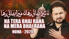 Nohay 2020 – Na Tera Bhai Raha Na Mera Bhai Raha | Syed Raza Abbas Zaidi Nohay | Bibi Zainab Noha