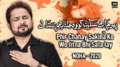 Nohay 2020 – Phir Chahe Sakina Ko Wo Jitna Bhi Sata Lay | Syed Raza Abbas Zaidi | Bibi Sakina Noha