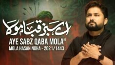 Nohay 2021 | Aye Sabz Qaba Mola | Syed Raza Abbas Zaidi | Imam Hasan Noha – New Noha 2021/1443