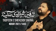 Nohay 2021 | Tadfeen Shahzadi Sakina | Syed Raza Abbas Zaidi  | Noha 2021 | Muharram 1443