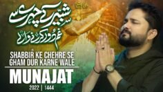 Nohay 2022 | Shabbir Ke Chehre Se Gham Dur Karne Wale  | Syed Raza Abbas Zaidi | Munajat 2022-1444