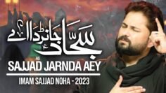 Nohay 2023 | Sajjad Jarnda Aey | Syed Raza Abbas Zaidi – Punjabi Noha 2023 | Mola Sajjad Noha