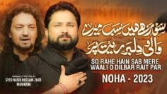 Nohay 2023 | So Rahe Hain Sab Mere Waali o Dilbar Rait Par | Syed Raza Abbas Zaidi | Muharram 1445