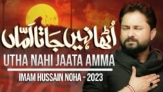 Nohay 2023 | Utha Nahi Jaata Amma | Syed Raza Abbas Zaidi | Muharram 2023/1445 | Imam Hussain Noha