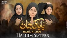 Nohay 2024 | BABA KI JAN | Hashim Sisters | Bibi Sakina Noha 2024 | Muharram Nohay 2024/1446