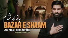 Nohay 2024 | Bazar E Shaam | Ali Naqi Shikarpuri | Imam Sajjad Noha 2024 | New Noha 2024/1446