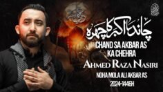 Nohay 2024 | CHAND SA AKBAR KA CHEHRA | Ahmed Raza Nasiri | Mola Ali Akbar Noha | Muharram Noha 2024