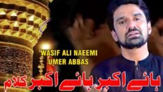 Nohay 2024 | He Akbar he he Akbar |Ali Akbar | Ya Ali | New Noha  | Wasif Naeemi & Umar Abbas #noha