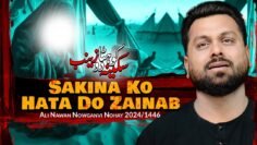 Nohay 2024 | Sakina Ko Hata Do Zainab | Ali Nawaz Nowganvi 2024 | New Noha 2024/1446