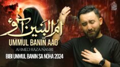 Nohay 2024 | UMMUL BANIN AAO | Ahmed Raza Nasiri | Bibi Ummul Banin Noha 2024 | Muharram Noha 2024