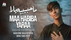 Pashto Noha 2024 | Maa Habiba Yaraa | Asghar Ali Bangash | 2024 – 1446 | Habib ibn e Mazahir Noha