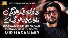 Ridawan Qaid Hogayiyan Maawan Qaid Hogayiaan | Mir Hasan Mir Nohay 2024 | Muharram 2024/1446