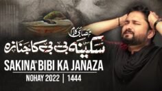 Sakina Bibi Ka Janaza | Syed Raza Abbas Zaidi | Nohay 2022 | Muharram 2022 – 1444 | Bibi Sakina Noha
