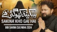 Sakina Kho Gai Hai | Syed Raza Abbas Zaidi | Nohay 2024 | Muharram 1446 / 2024 | Bibi Sakina Noha