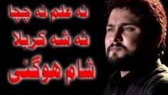 Shaam Hogaye Na Alam Na Chacha | Live Noha Khowani | Syed Raza Abbas Zaidi |