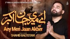 Shahid Baltistani Nohay 2024 | Aey Meri Jaan Akber | Noha Ali Akber as | Muharram 2024 / 1446