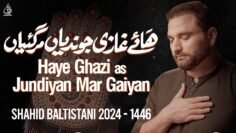 Shahid Baltistani Nohay 2024 | Haye Ghazi Jundiyan Mar Gaiyan | Punjabi Noha | Noha Mola Abbas