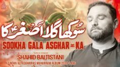 Shahid Baltistani Nohay 2024 | Sookha Gala Asghar Ka | Noha Ali Asghar as | Muharram 2024 / 1446