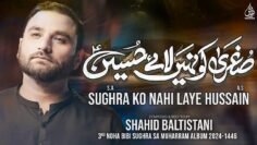 Shahid Baltistani Nohay 2024 | Sughra Ko Nahi Laye Hussain | Noha Bibi Sughra | Muharram 2024 / 1446
