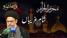 Sham e Ghareeban Majlis | Ayatullah Syed Aqeel Ul Gharavi