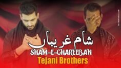 Sham E Ghareeban | Tejani Brothers | Nohay 2019 | New Noha Bibi Zainab 2019 | Muharram 1441