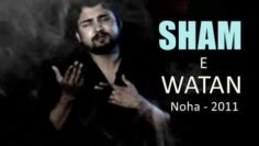 SHAM-E-WATAN | Nohay 2011 | Syed Raza Abbas Zaidi