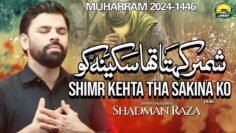 Shimr Kehta Tha Sakina (S.A) Ko | Shadman Raza | New Nohay 2024 | Muharram 2024/1446