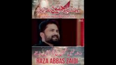 #shorts | Roza Nahi Hussain Nazar ayen | Syed Raza Abbas Zaidi | Nohay 2023  Karbala