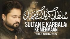 Sultan e Karbala Ke Mehmaan | Syed Raza Abbas Zaidi | Nohay 2022 | Karbala | Muharram 2022 | 1444H