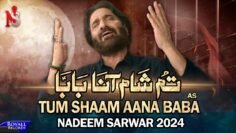 Tum Shaam Aana Baba (Punjabi) | Nadeem Sarwar | 45th Album – 2024 / 1446