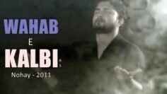WEHAB-E-KALBI ع | Nohay 2011 | Syed Raza Abbas Zaidi