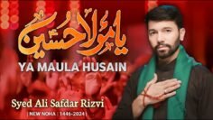 Ya Mola  Hussain | Ali Safdar Noha |Muharram 2024 /1446