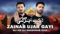 Zainab Ujar Gayi (Punjabi/Saraiki) | Ali Shanawar & Ali Jee | 2024 / 1446